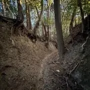 田中　庄之助