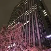 カツの画像