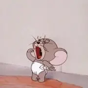 ねねの画像