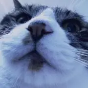 ON-Lの画像