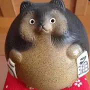 ポンポコたぬき◎