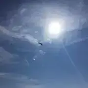Rの画像