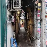 120の画像