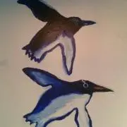 空飛ぶペンギン