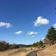 月曜〜金曜日　発送不可　くいだおれ太郎の画像