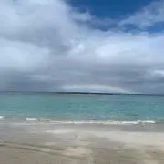 blue sea お値下げ交渉可⭐️の画像
