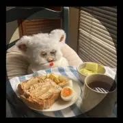 moo ◎プロフ必読の画像