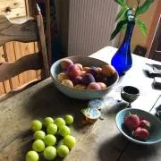 Medinaの画像
