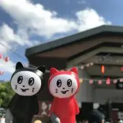 みたまの画像
