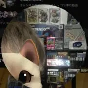ノラの画像