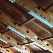 はな