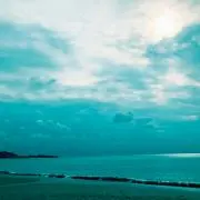 はる＊の画像