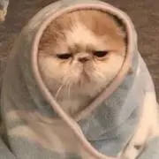 なこ