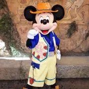 Mickey1118
