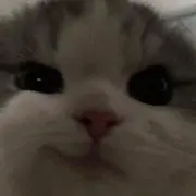 rrr