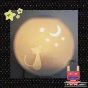 kinokoの画像