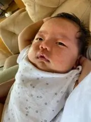 しのぶの画像