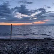 ねむの画像