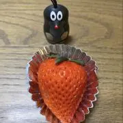 daacoooの画像