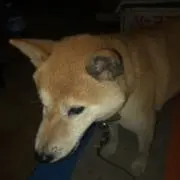 じげんの画像
