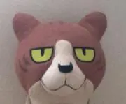 ちょこの画像