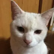 マリー