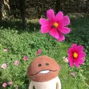りおか☆の画像