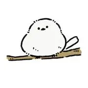 soraの画像