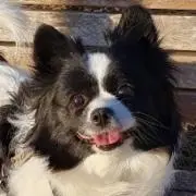 lua*.:+の画像