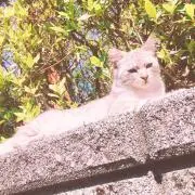 なすこ次回発送7/21〜の画像