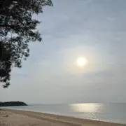 ちき