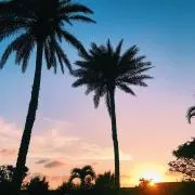 Islanderの画像