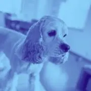 teru teruの画像