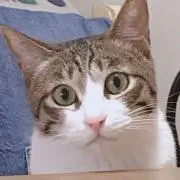 あすみ