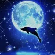 Loco♡プロフ必読(*´`)♪の画像