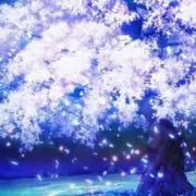 はなの画像