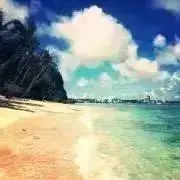ただ今断捨離中☆nico☆の画像