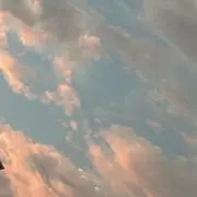 natuの画像