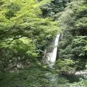 miyakkoの画像