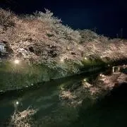 りんたんの画像
