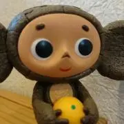 きょんの画像