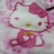 姫キディの画像