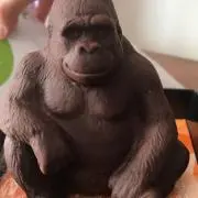 gorigoriの画像
