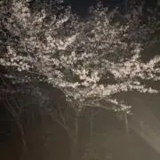 @@@