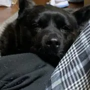 まおの画像
