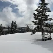snow mountainの画像