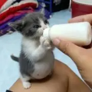 今だけ全品値下げ中の画像