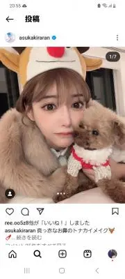 けたくまの画像
