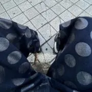 中央分離帯の画像