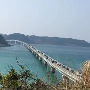 M【プロフ必読】の画像